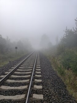 IMG_20251002_083148.jpg