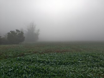IMG_20251002_082241.jpg