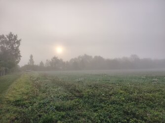 IMG_20251002_080959.jpg