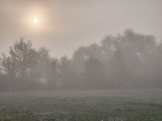IMG_20251002_080930.jpg