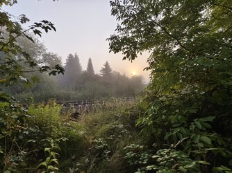 IMG_20251002_075650.jpg