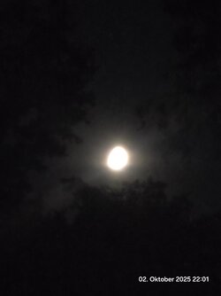 20251002_220109.jpg