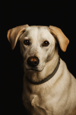 file_00000000fd3861f59fd455fa5ad42061.png
