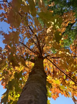 IMG_20251002_161609.jpg