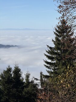 IMG_1968 2.jpeg