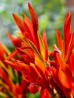 IMG_20250930_112843.jpg