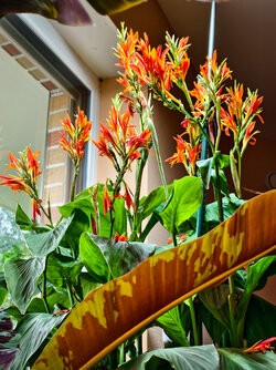IMG_20250930_121952.jpg