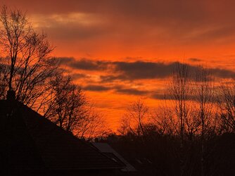 IMG_3943 2.jpeg