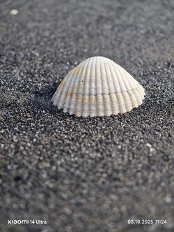 IMG_20251003_112454.jpg