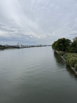 IMG_1199.jpeg IMG_1199.jpeg