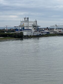 IMG_1195.jpeg IMG_1195.jpeg