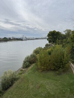 IMG_1194.jpeg IMG_1194.jpeg