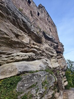 IMG_20251003_164010.jpg