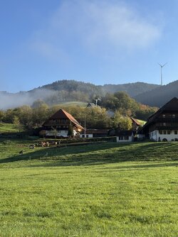 IMG_1131 2.jpeg
