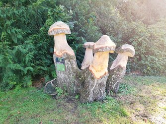 M4P - IMG_20251001_153906.jpg