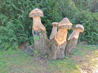 M7P - IMG_20251001_153759.jpg