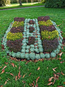 M7P - IMG_20251001_154109.jpg