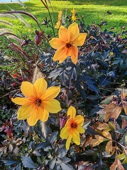 M7P - IMG_20251001_160206.jpg