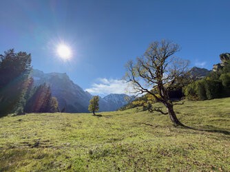 IMG_0835.jpg IMG_0835.jpg