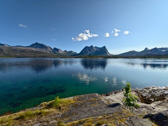 IMG_20250705_181326.jpg