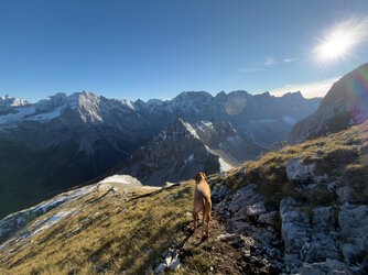 IMG_0891.jpg