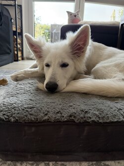 IMG_4475.jpeg