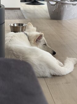 IMG_4484.jpeg