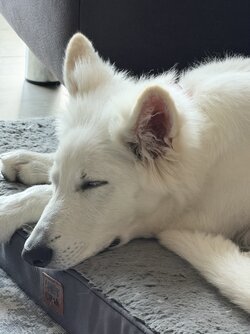 IMG_4489.jpeg