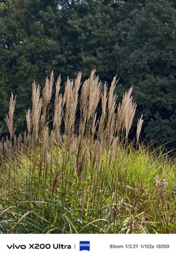 IMG_20250927_120713.jpeg