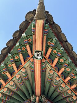 IMG_6756 2.jpeg
