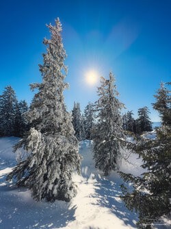IMG_1411-Bearbeitet-Bearbeitet.jpg