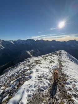 IMG_0880.jpg