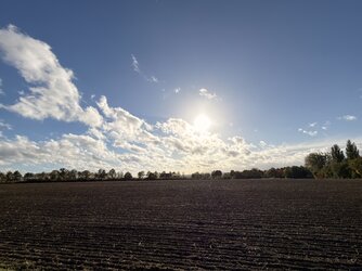 IMG_2565.jpeg