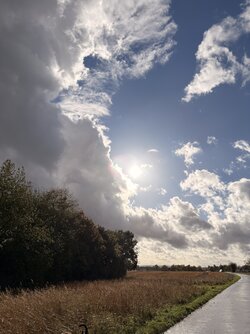 IMG_2539.jpeg