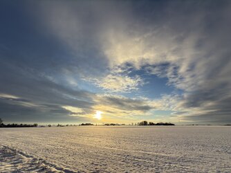IMG_7274.jpeg