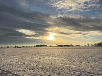 IMG_7273.jpeg