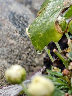 IMG_20251005_173538318~2.jpg