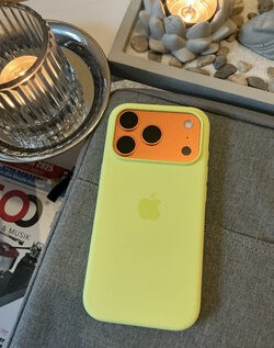 IMG_0875.jpeg