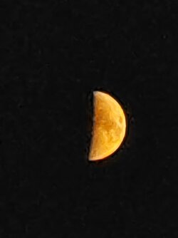 IMG_20250929_192613.jpg