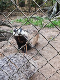 IMG_20250925_170746.jpg