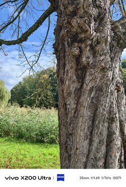 IMG_20250927_120647.jpeg