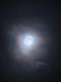 IMG_20251005_215505.jpg