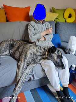 IMG_20251005_191949~2.jpg