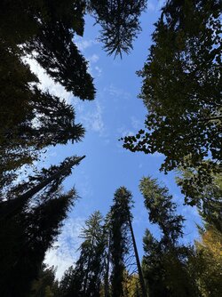IMG_7768 2.jpeg