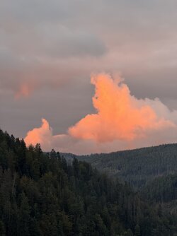 IMG_6455 2.jpeg