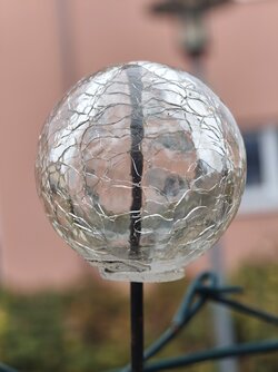 IMG_20251006_165026557.jpg