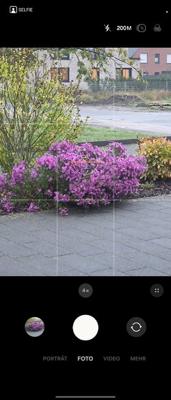 Screenshot_20251007_075637_Camera.jpg