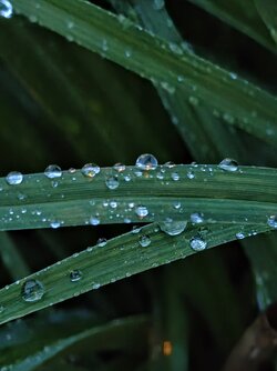 IMG_20250924_191414957~2.jpg