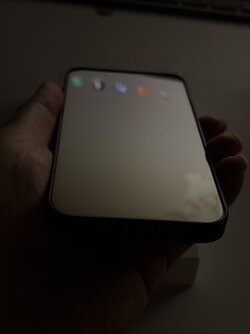 IMG_3760.jpeg