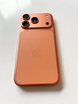 IMG_3631.jpeg